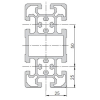 50x100, T-Slot 10mm